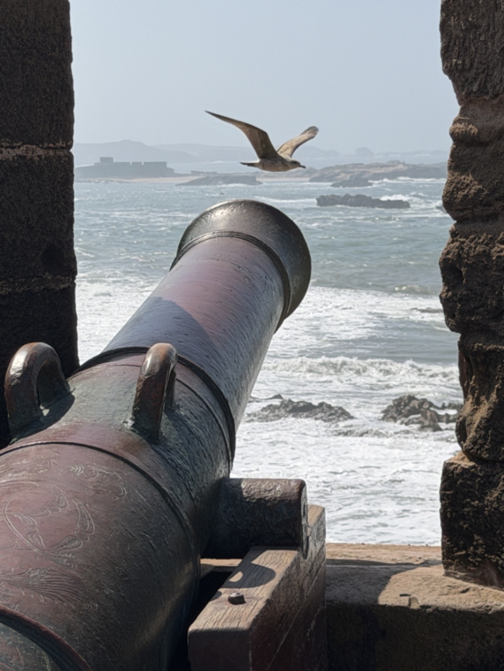 Cannon & Gull